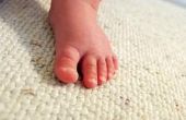 Wat voor soort tapijt beste huiden voetafdrukken?
