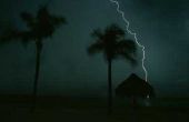 Waarom Is het gevaarlijk om schuilplaats onder een boom tijdens een onweer?