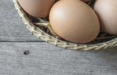 Feiten over eieren & Cholesterol