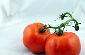 Hoe te vervangen door in blokjes gesneden tomaten tomatenpuree