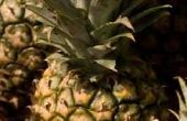 De manieren om te dienen van verse ananas