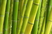 How to Make Bamboo manden