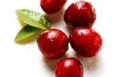 How to Make van gedroogde Cranberries in een Food Dehydrator