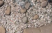 Voering van het pad van een tuin met stenen