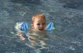 Hotels in Michigan met zwembaden & speelplaatsen voor kinderen