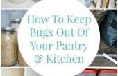 Hoe te houden van de Bugs uit uw Pantry en keuken