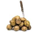 De beste winterstalling aardappelen