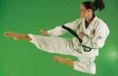 Wat Is het verschil tussen Taekwondo, Karate & Judo?