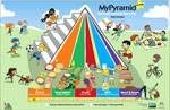 Voedselpiramide Facts for Kids
