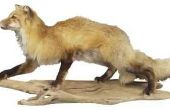 Hoe maak je een Fox staart uit garen