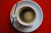 DeLonghi Espresso Maker instructies