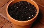 How to Make Potting Soil Mix
