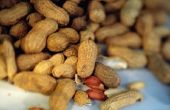 Wat is een goed klimaat voor groeiende pinda's?