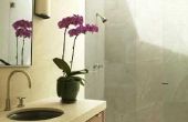 Kan ik mijn orchidee in de badkamer na een douche voor vochtigheid?