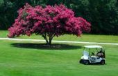 Is het legaal om te rijden golfkarretjes op de openbare wegen van Noord-Carolina?