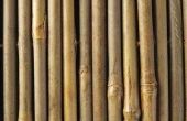 Hoe te knippen van bamboe stokken doormidden