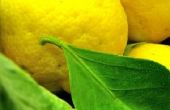 Is citroen goed voor Acne?