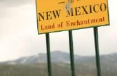 Wat zijn de unieke voordelen van een naamloze vennootschap van New Mexico?