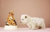 Hoe te bakken van Cupcakes voor honden