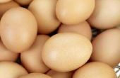How to Make poedervorm eieren