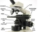 Wat Is een samengestelde microscoop?