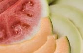 How to Grow meloenen op een rek van de steun