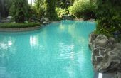 Natuurlijke zelfgemaakte zwembad reinigers