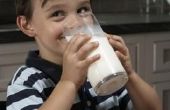 Verschillen tussen gestremde melk en zure melk