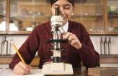 Science Fair ideeën over forensische wetenschap