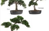 Hoe maak je kunstmatige bonsaibomen