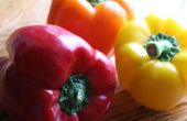 How to Grow broeikasgassen Peppers
