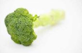 Hoe stoom verse Broccoli