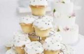 Cupcakes decoreren ideeën voor botterroom Frosted