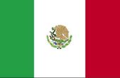 Douanevoorschriften voor het invoeren van de Verenigde Staten van Mexico