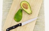 De veiligheid van avocado's voor hoektanden