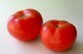 Hoe te bevriezen van verse tomaten voor het koken van de Winter