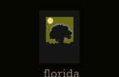 Het verkrijgen van een licentie van de dakbedekking in Florida