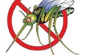 Hoe af te weren, muggen uit uw tuin op een begroting