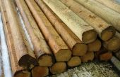 Wat zijn de gevaren van druk behandeld hout?
