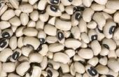 Wat kruiden gaan in Black-Eyed Peas?