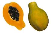 Bakken met verse papaja 's