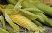 Wat Is de voedingswaarde van maïs?