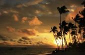 De beste All-Inclusive Resort in Punta Cana
