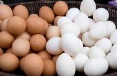 Eierschalen goed zijn voor een moestuin?