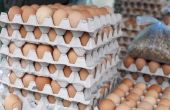 Wat zijn verrijkte eieren?