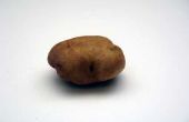 Redenen voor een aardappel te verkleinen wanneer geplaatst in suiker Water
