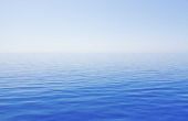 Belang van de Blue Ocean Strategy naar een bedrijf
