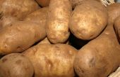 Hoe maak je een aardappel-Bin