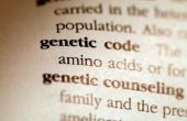 Wat zijn de verschillende varianten van een gen genoemd?