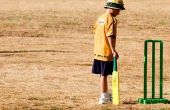 Mini Cricket regels